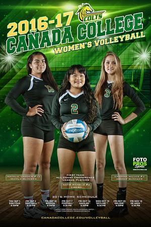 canada poster volleyball