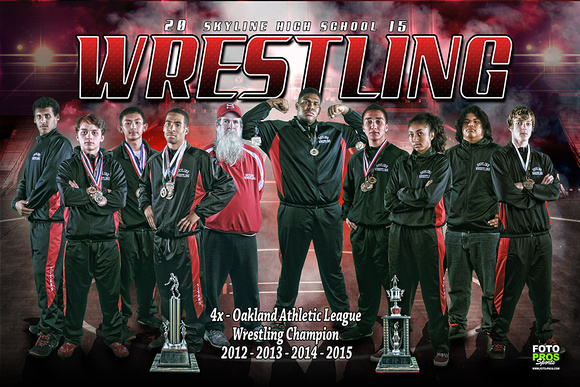 team poster wrestling 2014 web